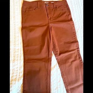 Women jeans Style & CO brown, size 10s